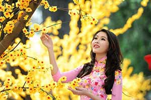 Thời tiết Tết Nguyên Đán: miền Bắc rét nhẹ, miền Trung - Nam có nắng Thời tiết Tết Nguyên Đán: miền Bắc rét nhẹ, miền Trung - Nam có nắng