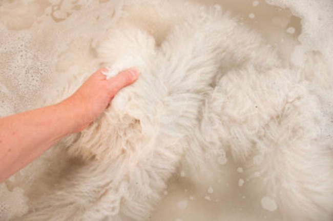 2 Cách giặt áo lông thú đơn giản cực hiệu quả 2 Cách giặt áo lông thú đơn giản cực hiệu quả