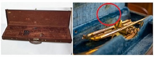 Dịch vụ vệ sinh Case nhạc cụ Dịch vụ vệ sinh Case nhạc cụ