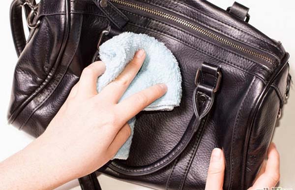Cách giặt đồ da bị mốc tốt nhất Cách giặt đồ da bị mốc tốt nhất
