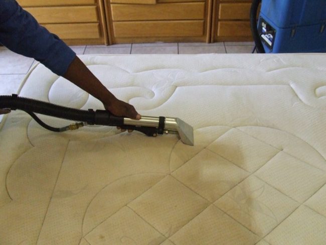 Cách giặt đệm bông ép bị mốc Cách giặt đệm bông ép bị mốc